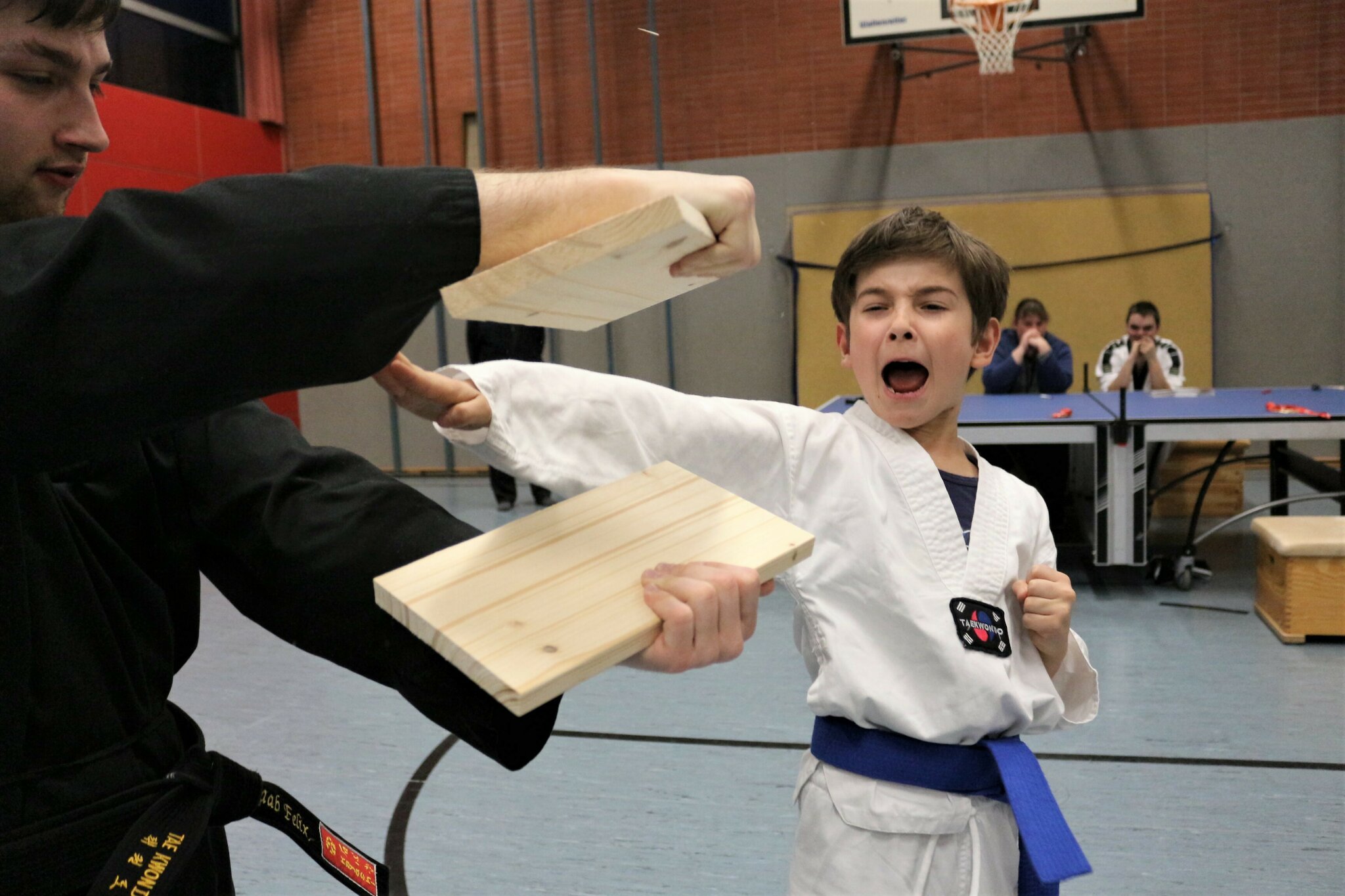 Rückblick 2023 der Abteilung Taekwondo - tsv1896rain